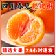 四川正宗春见耙耙柑粑粑柑丑桔橘大果新鲜当季 整箱橘子杷杷柑水果