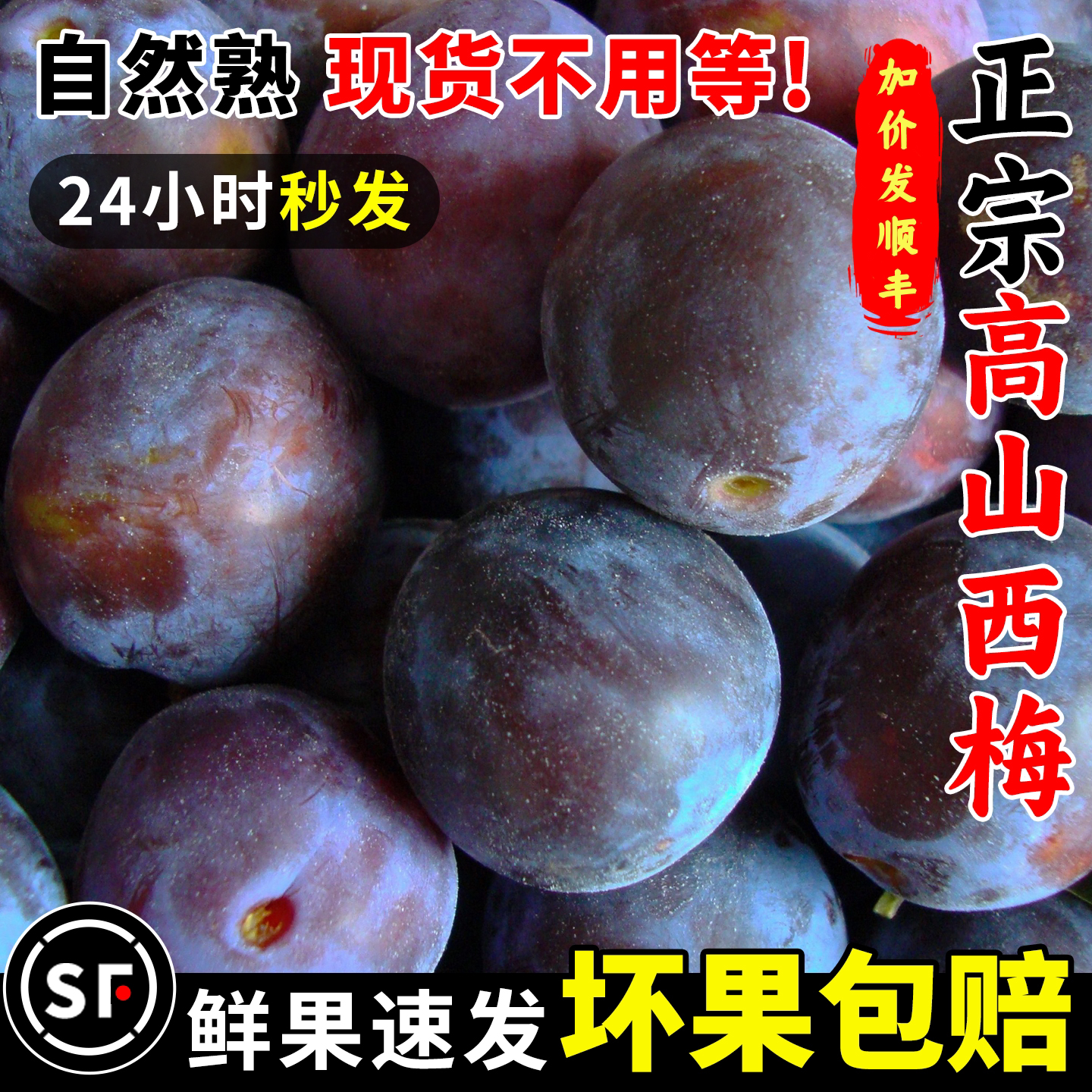 250g 20-25g ������÷ˮ���߼�������������и�Ӧ������������÷�ʹ�