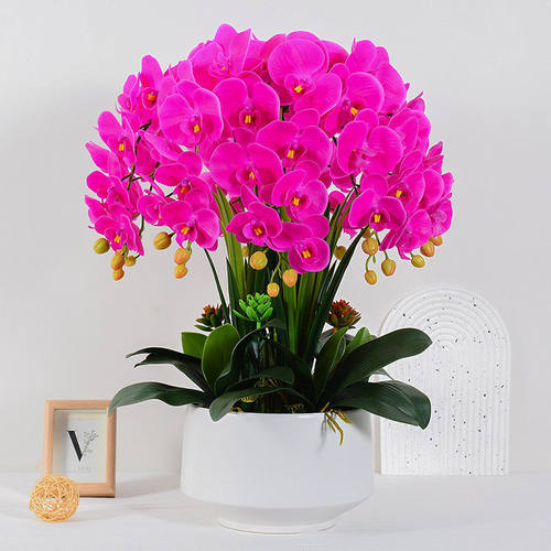 档蝴蝶兰仿真假花卉花艺客厅电视柜餐桌面插花盆景装饰摆件盆栽