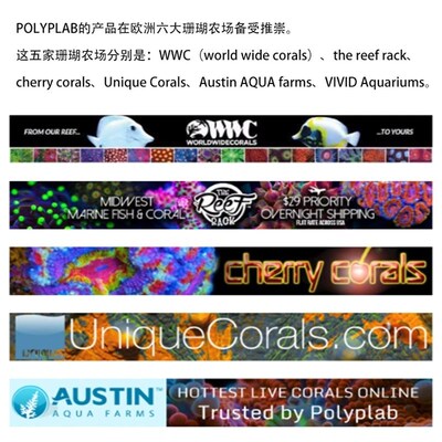 Polyplab加拿大 REEF-ROAIDS珊瑚粮海洋浮游生物海水鱼缸珊瑚饲料