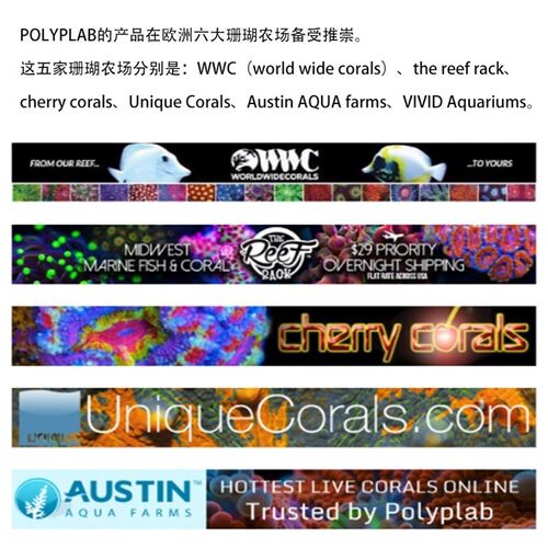Polyplab加拿大 REEF-ROAIDS珊瑚粮海洋浮游生物海水鱼缸珊瑚饲料