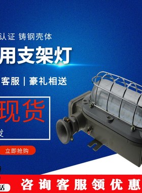 使用周期长矿用支架灯 铸钢外t壳矿用支架灯 DJC48/127L矿用支架