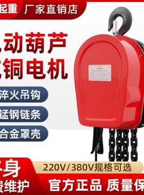 环链电动葫芦380jv起重提升机1/2吨3/5吨10吨220v吊机家用小型升