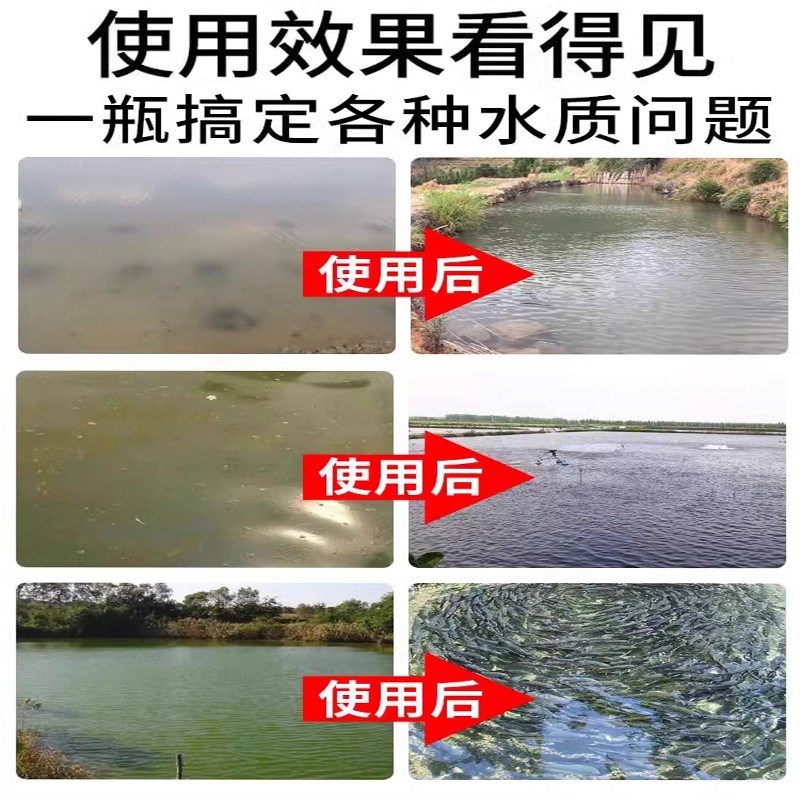 鱼塘净水剂池塘变清改底改善水质不伤鱼虾景观河道Z鱼塘净水灵