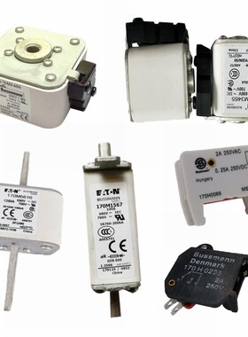 170M6688 170Ml6689 170M6698 170M6699 美国bussmann巴斯曼熔断