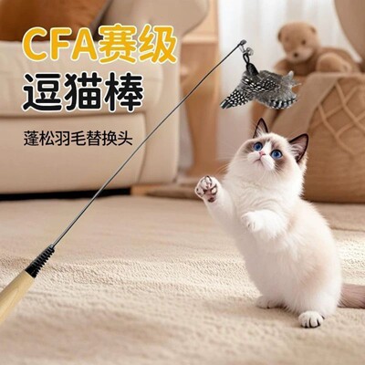 CFA赛级逗猫棒长杆猫玩具小飞虫羽毛替换头耐咬幼猫用品猫咪自嗨