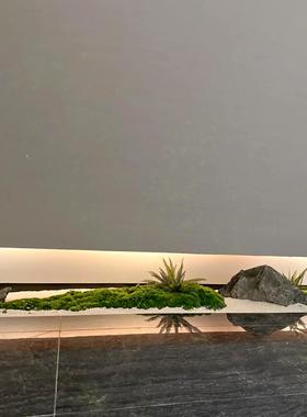 彷真绿色植物组合枯山水造景室内玄关墙角装饰商场橱窗假苔藓花槽