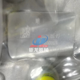 538柴油泵CB2E917B1 11y11100 玉柴引擎高压电喷燃油泵1D1G00