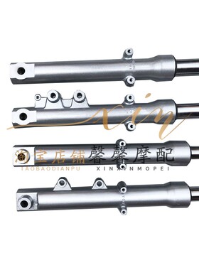 适用钱江摩托车配件 风暴太子150-3AE/3B/18F前减震器 避震 前叉