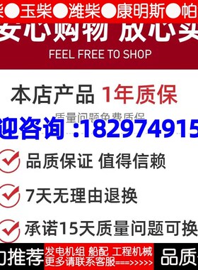 大柴道依茨国五发动机4DK 6CDK原厂单体泵02113696