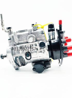 德尔福Perkins喷油泵8924A542T 8924A490T 2643D644KF 934-924