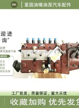 南通6135柴油机配件柴油机6PB 228BA 228G高压油泵BH6B110YS03T