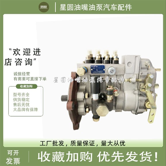 南岳电控衡阳油泵B6P113E系列6缸配玉柴柴油发动机喷油泵总成