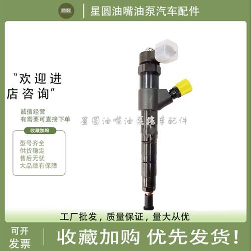 莱动国四驭菱福田黑豹油嘴4L22CF-10300辽宁新风4L22发动机喷油器