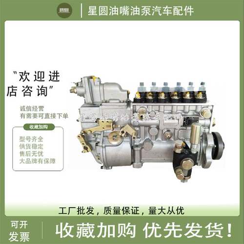原厂龙口龙泵BP2072B潍才柴油机WP10发动机高压油泵612602080379
