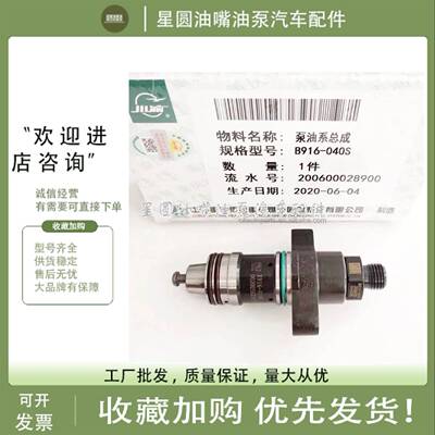 CP1/CP2.2/CB08/CB18/CB28油泵柱塞适用江淮朝柴F019D01303/04036