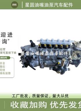 龙口原装油泵总成612600081014 BP3002柱塞ZS314配潍柴WD615.67
