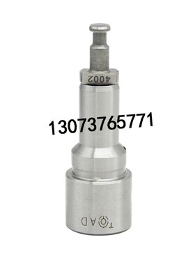 北京亚新科油泵柱塞SAY100AD002 SAY100AD004 4002 4004柱塞