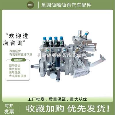 山东康达油泵4QTF176/4Q79b/4QKZ41 BH4Q90R9/HA110031云内 莱动