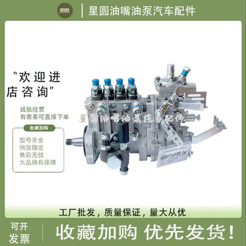 山东康达油泵4QTF176/4Q79b/4QKZ41 BH4Q90R9/HA110031云内 莱动