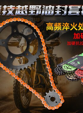 适用春风NK250 SR250/45A0摩托车大小齿链轮油封链条套链三件套