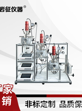 岩征仪器 3釜连续CSTR 反应器厂家 厂家直销