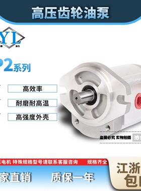 高压齿轮泵P204 206 208 211 214 216 219 222 225 233液压油泵