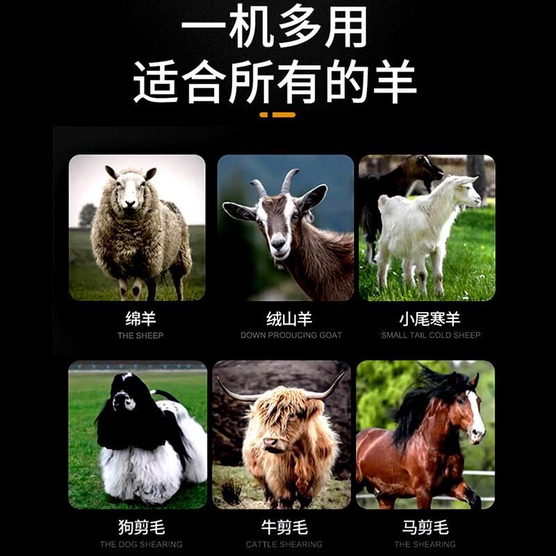 羊王电动b羊毛剪36V大功率型剃羊毛电推剪子刀头绒山羊狗狗宠物剃