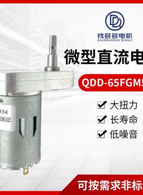 65FGM545微型直流减速电机大扭矩低转速阀门电机升降桌电机