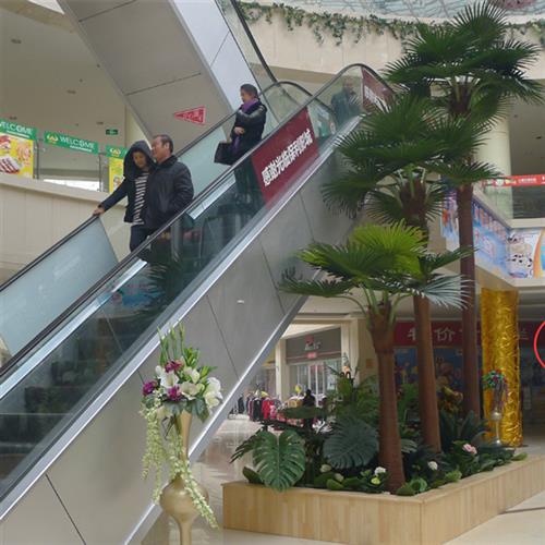 厂家直销仿真扇葵树人造蒲葵大型玻璃钢老人葵公园广场绿化装饰量