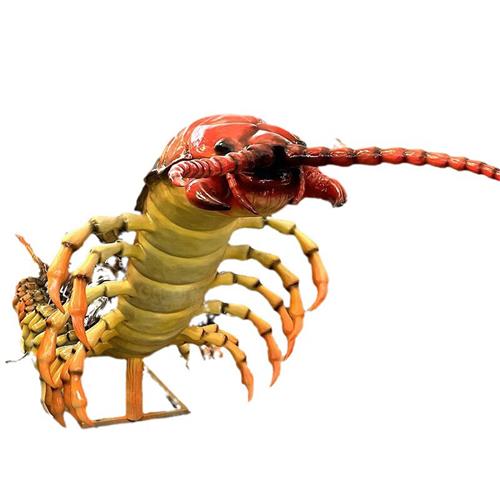 仿真昆虫模型景区广场公园博物馆室内商场装饰蜈蚣摆件生产厂家