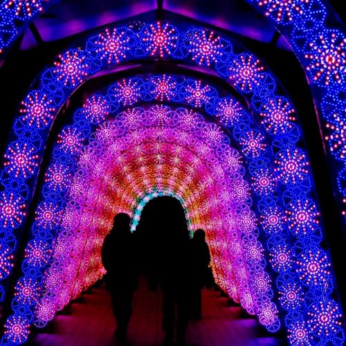 大型户外灯组灯光节景区亮化美陈动态生命树梦幻节动物造型