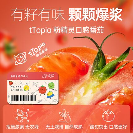 番茄星球番茄认养爆汁新鲜小番茄多彩小番茄西红柿礼品顺丰包邮