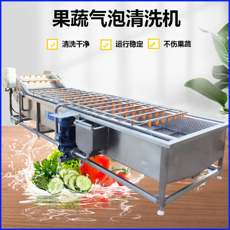全自动气泡清洗机 水果果蔬清洗设备 净菜叶菜类辣椒蔬菜清洗机