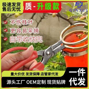 摘花椒神器花椒采摘专用神器防刺手套剪花椒剪刀摘枣网红 新款