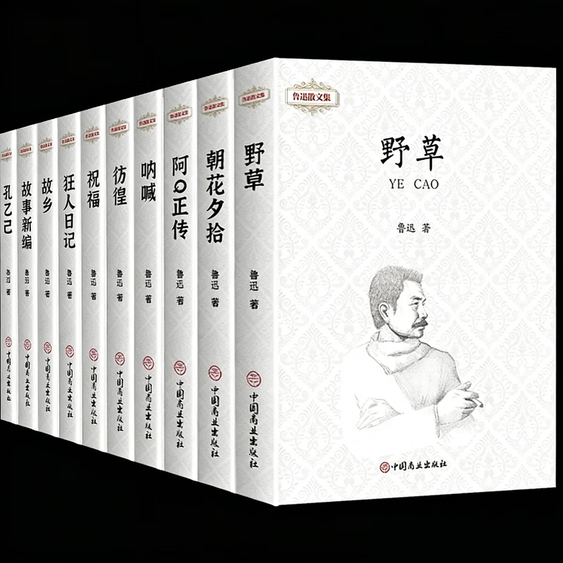 鲁迅全集原着正版10册六七年级阅读书必课外阅读书籍狂人日记朝花夕拾故乡野草呐喊彷徨阿Q正传孔乙己初中生必读经典作品集杂文集