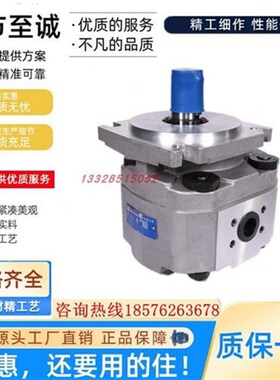 合肥长源齿轮泵CBKP100/80/63/50/40/32-BFPP/BF/H/X 双联三联泵