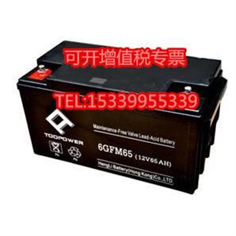 TOOPOWER天力6GFM70蓄电池12V70AH直流屏EPSS应急照明系统太阳能