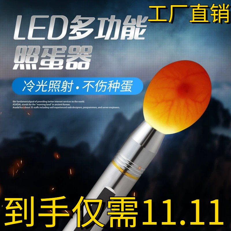 照蛋器led手电筒孵化专用验蛋孵蛋可充电照蛋灯蛋种检查冷光孵化