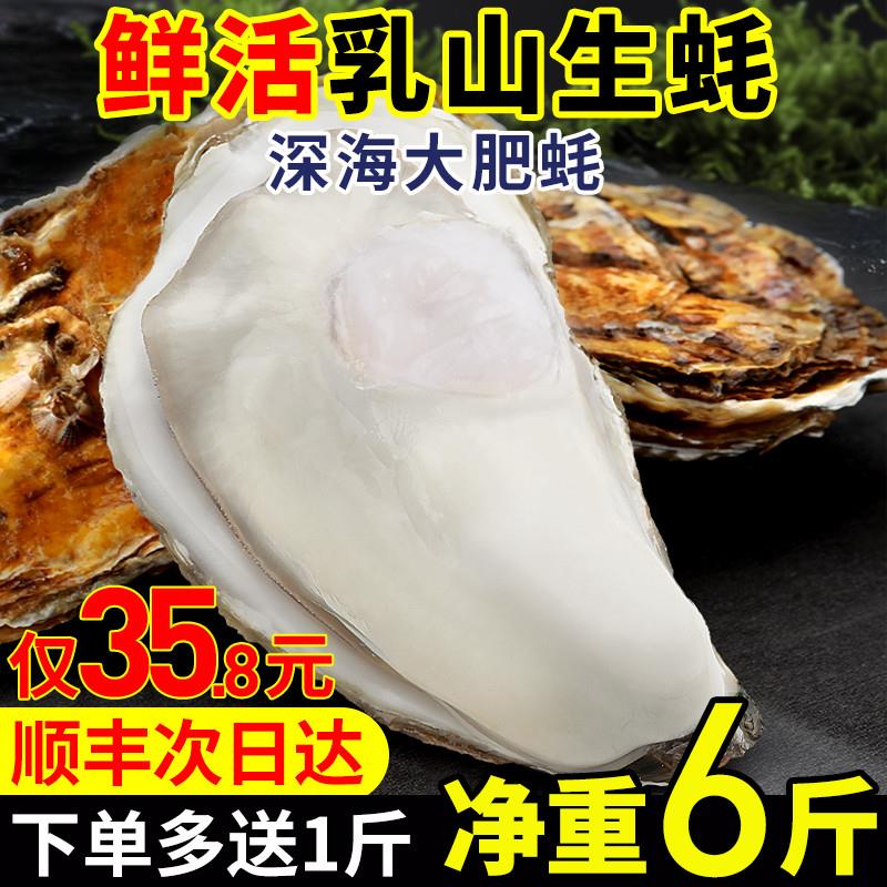 正宗乳山生蚝鲜活10牡蛎新鲜海鲜水产带壳海蛎子海产5斤商用整箱-封面