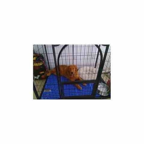 速发塑料防潮板垫仓板p网格栈板货物托盘仓库地垫地架宠物脚垫板