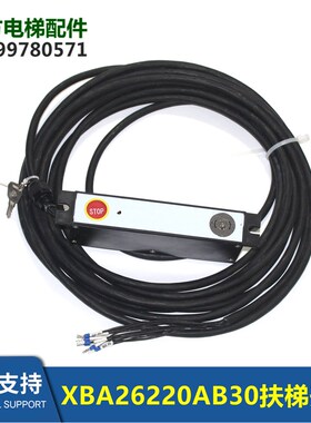 XBA26220AB30 AB996自动G扶梯开关扶梯钥匙启动开关电源锁