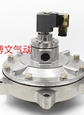 DMF-Y-76S脉冲阀3寸淹没式电磁阀AC220VW DC24V