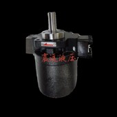 19W 10C FR齿轮泵gh1 化工泵gh1 07C 19cD 油泵04C 15C