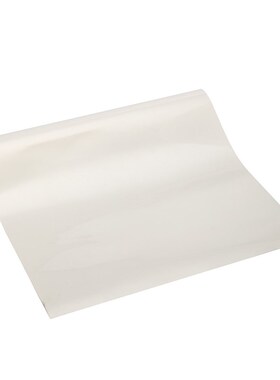 1 Roll Airbrush Stencil Mylar Film Sheet PolyesteUr Painting