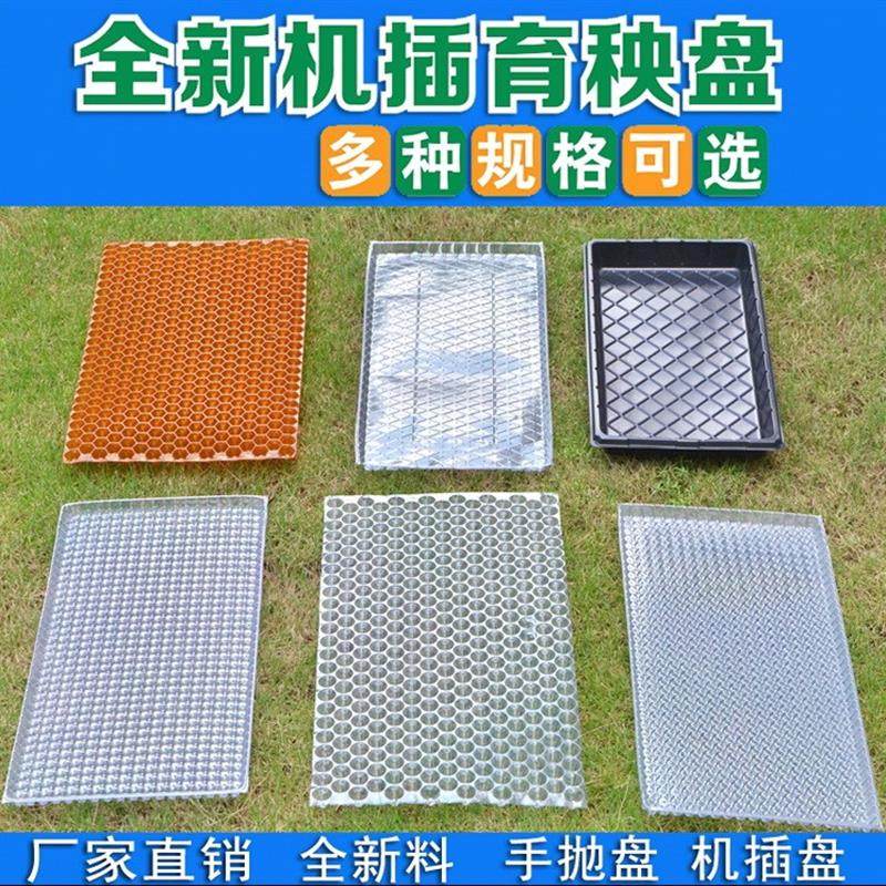 揭育苗重复农民手抛防晒稻秧免播种器使用盘培手抛秧盘水稻盘人工