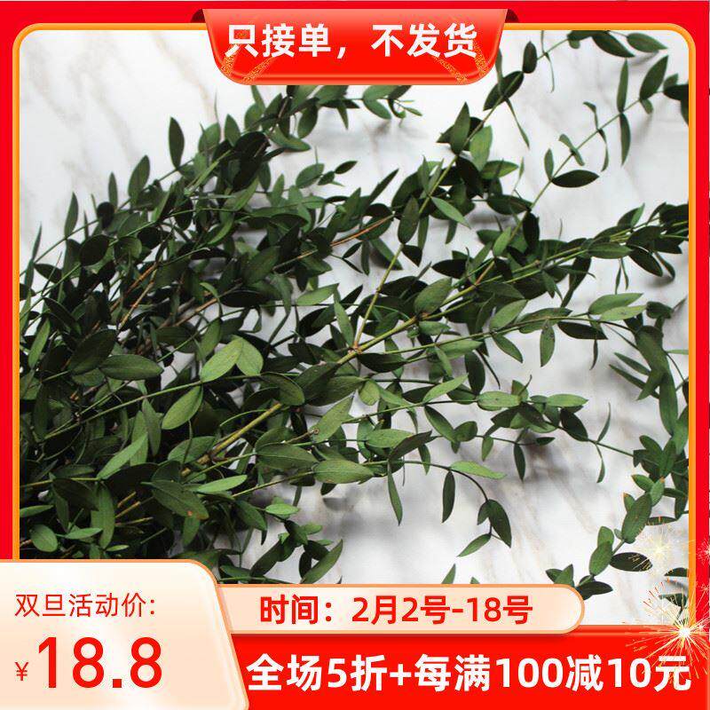 云南永生花细叶尤加利美叶桉北欧家居插花装饰花束森系节日蓝色