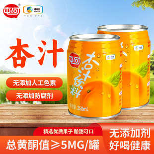 中粮屯河杏汁果蔬汁无添加饮料酸甜健康饮品礼盒装新疆特产纯果汁