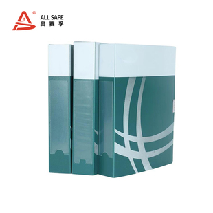 DAHZK55G 奥赛孚 ASF 粘扣档案盒 ALLSAFE