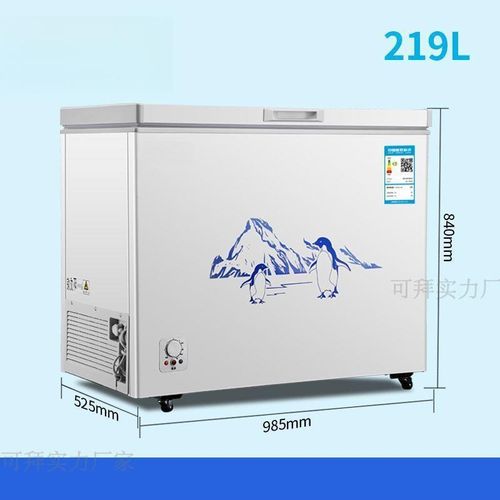 新款小冰柜家用商用大容v量迷你卧式冷藏冷冻柜冰柜低温单门